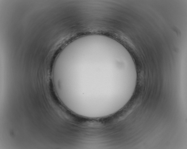X0000115650644200911101117
