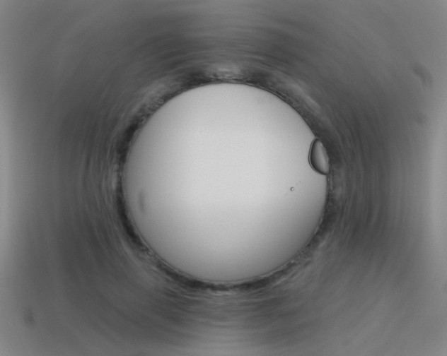 X0000115650645200911101117