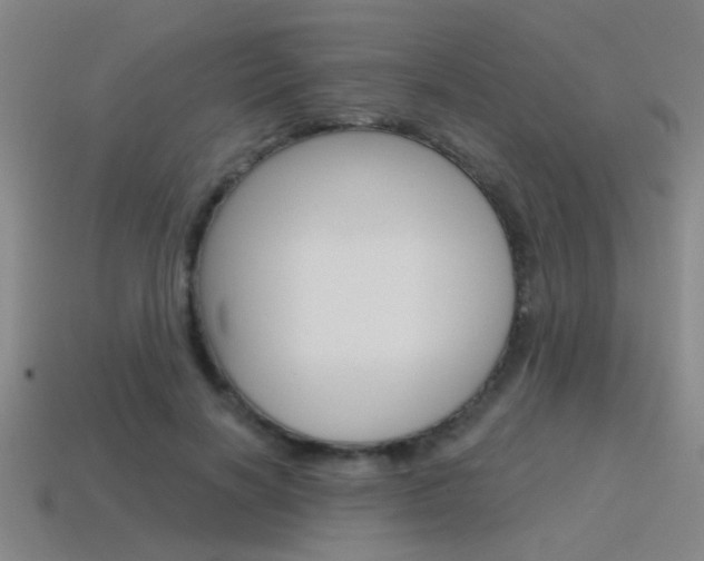 X0000115650646200911101117