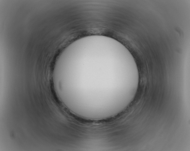 X0000115650647200911101117