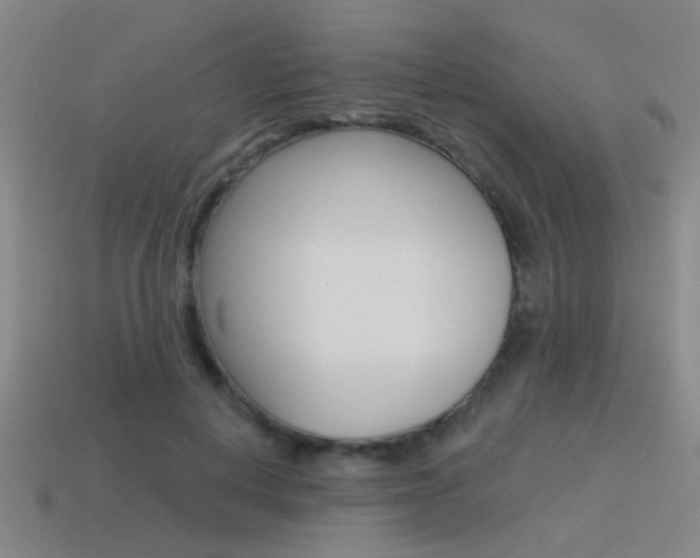 X0000115650648200911101117