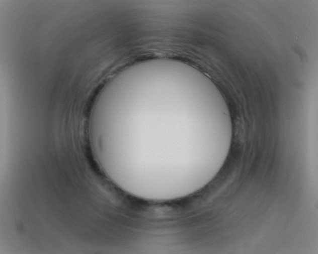 X0000115650650200911101117