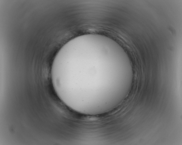 X0000115650651200911101117