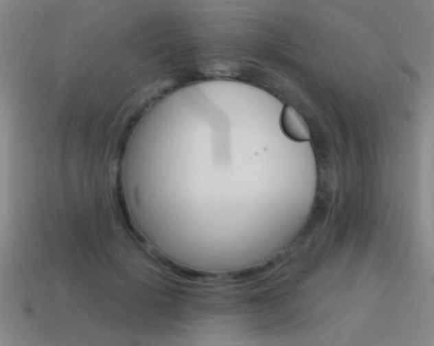 X0000115650652200911101117