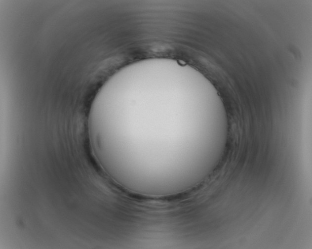 X0000115650654200911101117