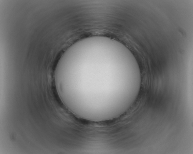 X0000115650655200911101117