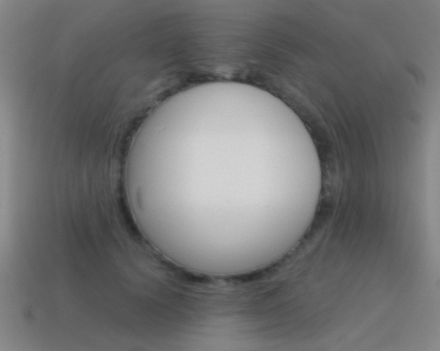 X0000115650656200911101117