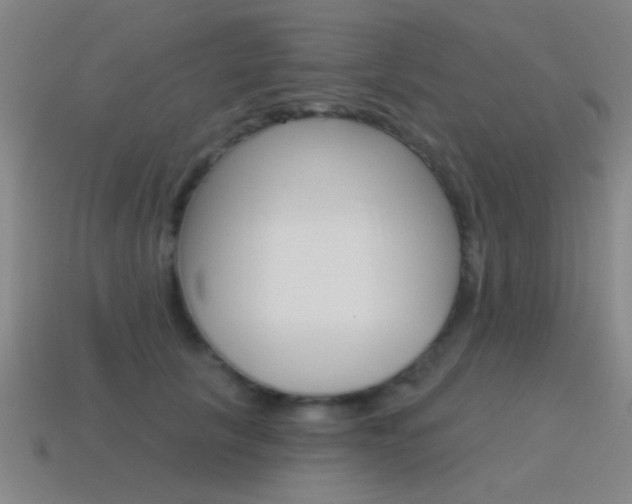 X0000115650657200911101117