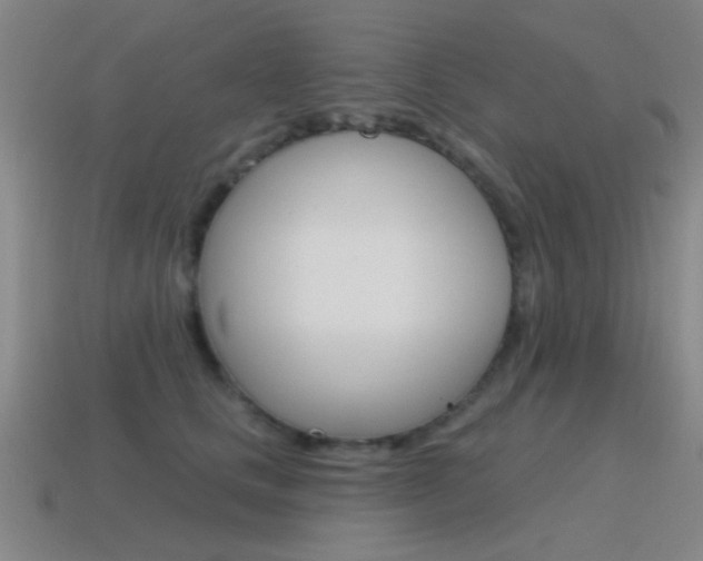 X0000115650661200911101117