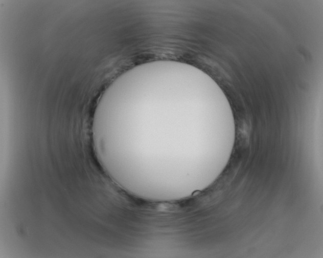 X0000115650663200911101117