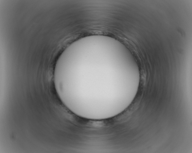 X0000115650665200911101117
