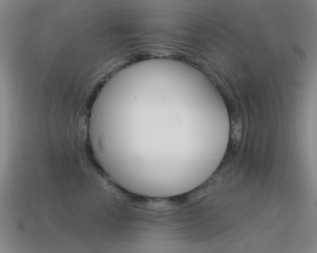 X0000115650666200911101117