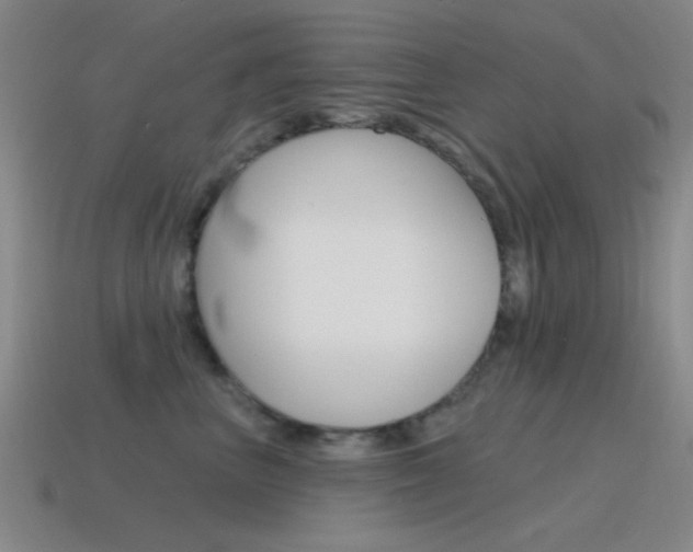 X0000115650667200911101117