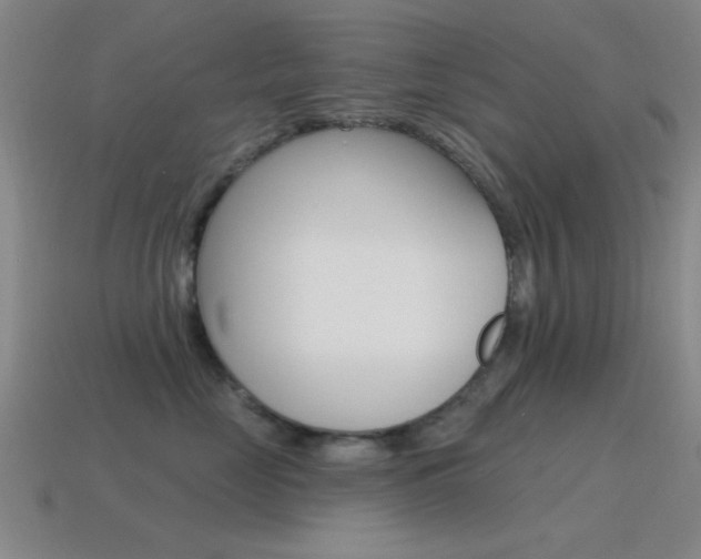 X0000115650669200911101117