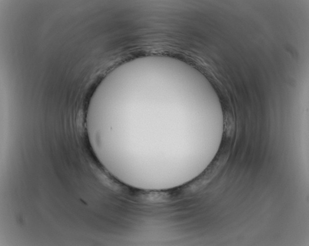 X0000115650670200911101117