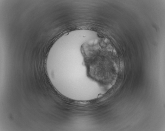 X0000115650671200911101117