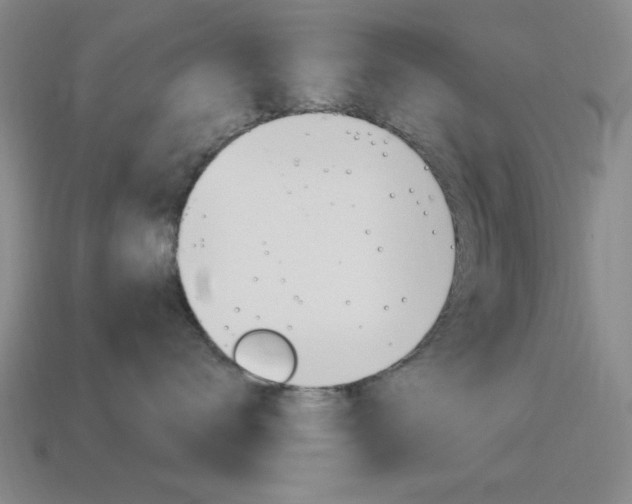X0000115650672200911101117