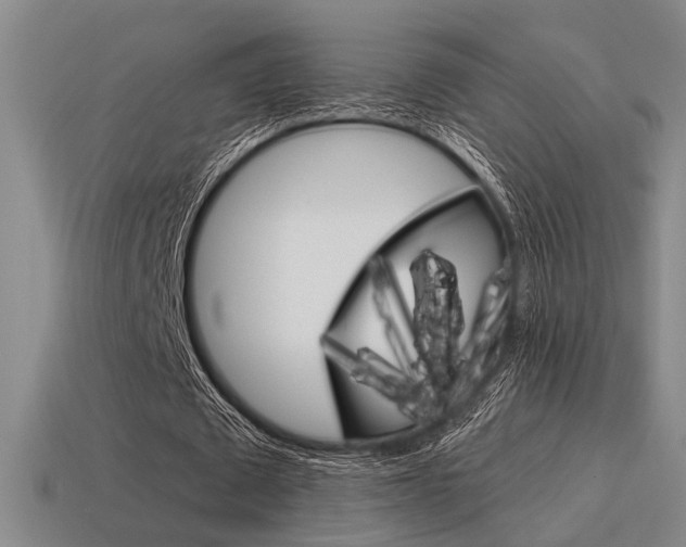 X0000115650673200911101117