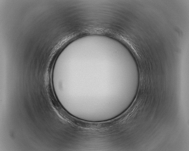 X0000115650674200911101117