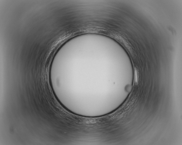 X0000115650675200911101117