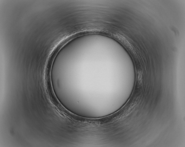 X0000115650676200911101117