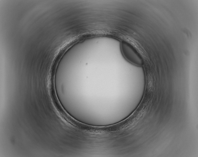 X0000115650677200911101117