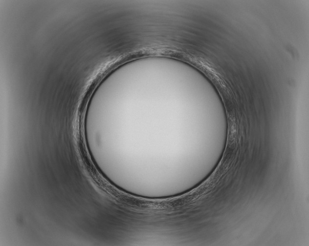 X0000115650678200911101117