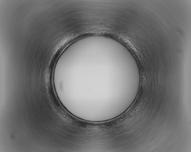 X0000115650679200911101117