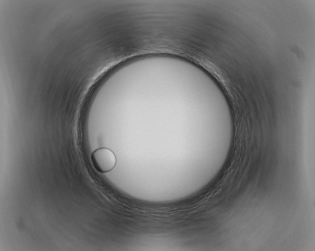 X0000115650680200911101117