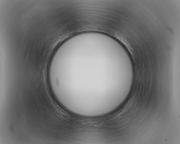 X0000115650681200911101117