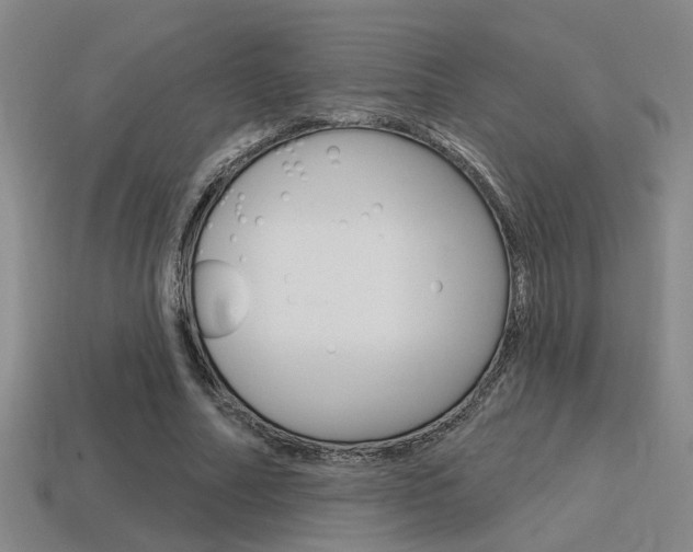 X0000115650682200911101117