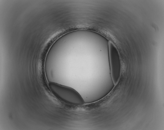 X0000115650684200911101117