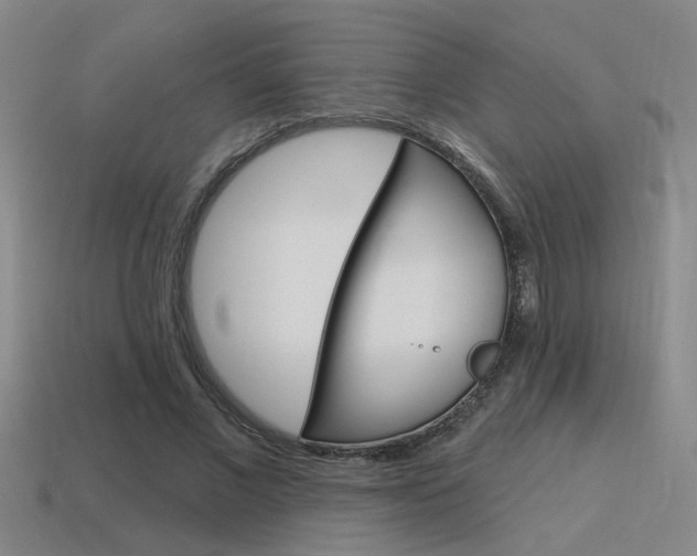 X0000115650685200911101117