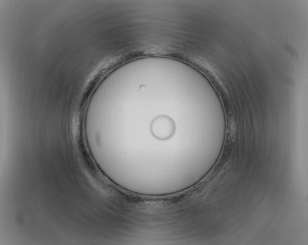 X0000115650686200911101117
