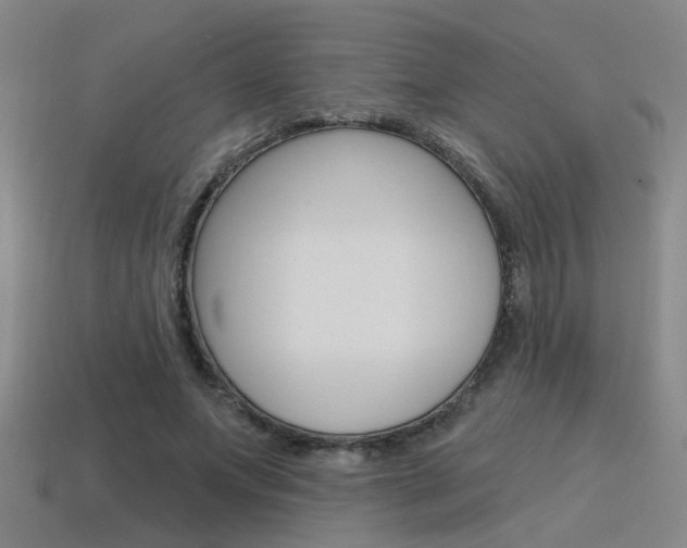 X0000115650687200911101117