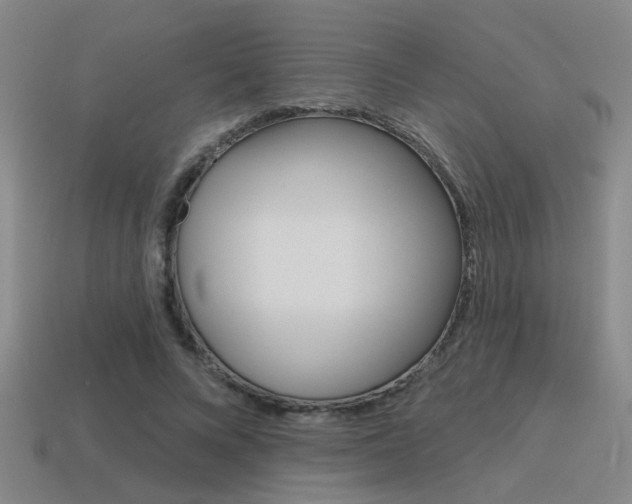 X0000115650688200911101117