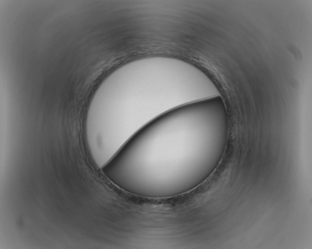 X0000115650689200911101117