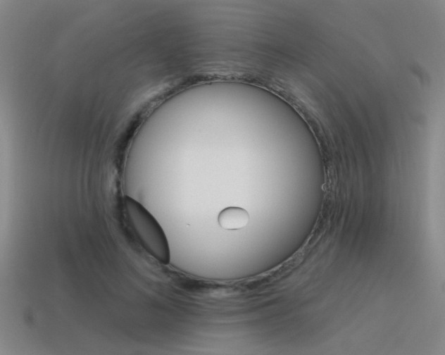 X0000115650692200911101117