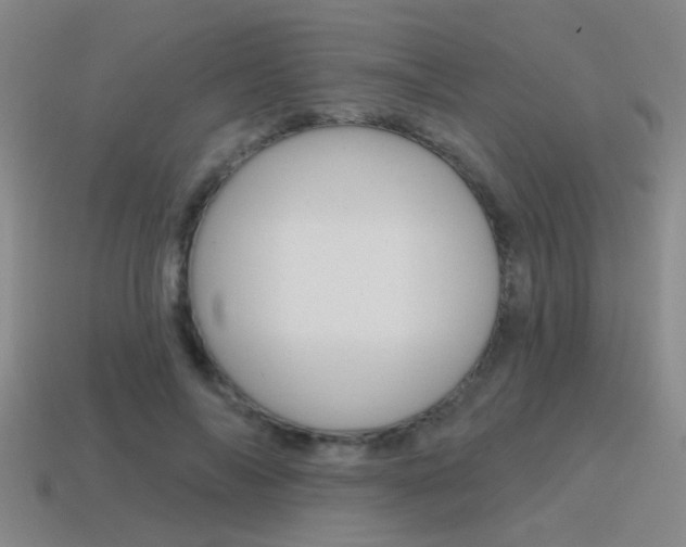 X0000115650694200911101116