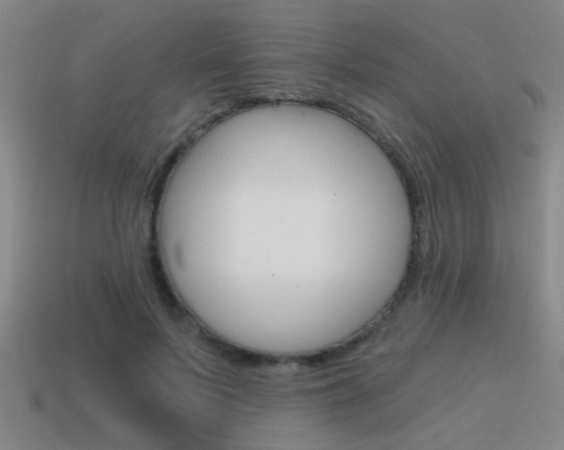 X0000115650695200911101116