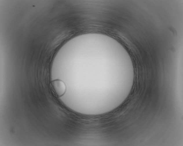 X0000115650696200911101116