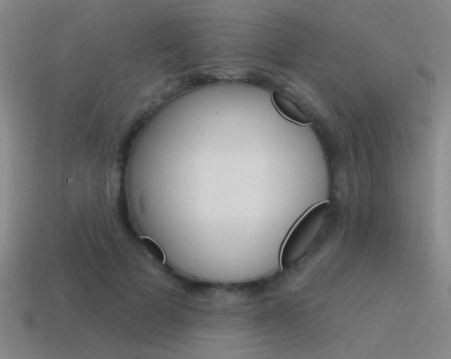 X0000115650697200911101116