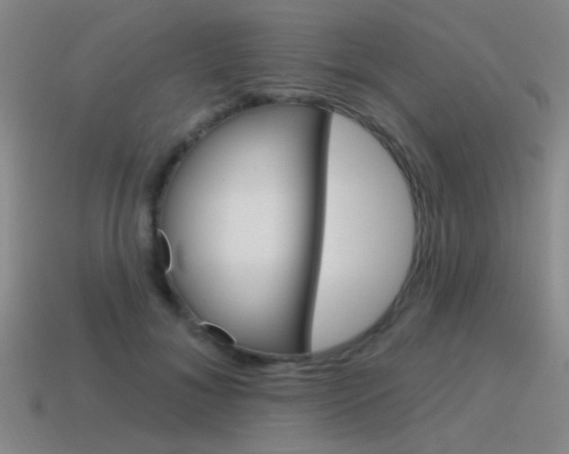 X0000115650700200911101116