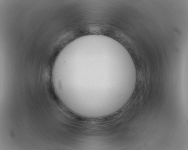 X0000115650702200911101116