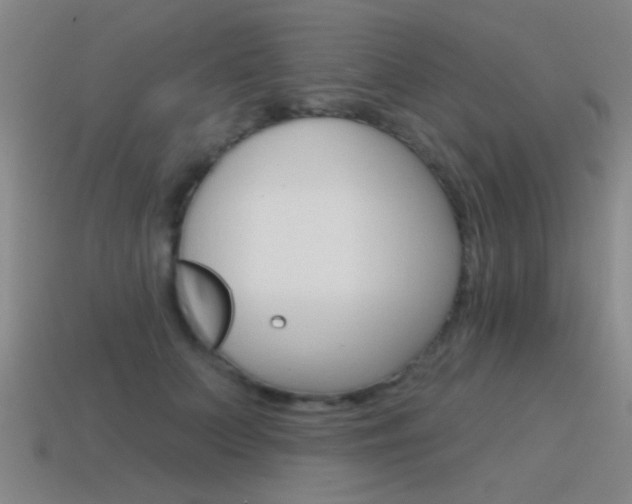 X0000115650703200911101116