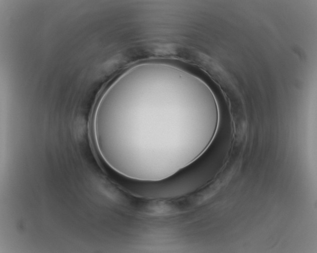 X0000115650704200911101116