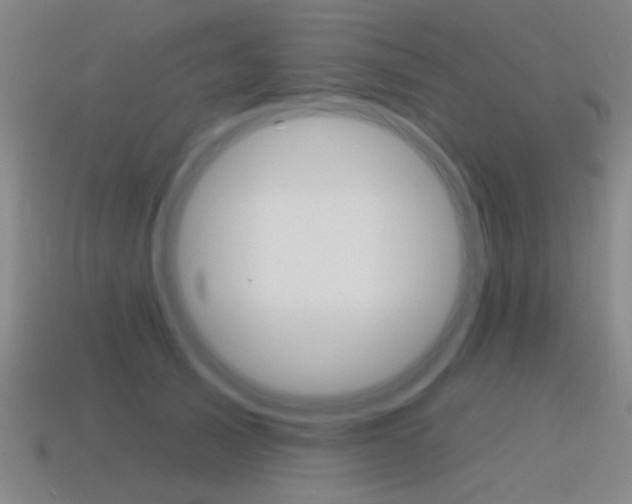 X0000115650705200911101116