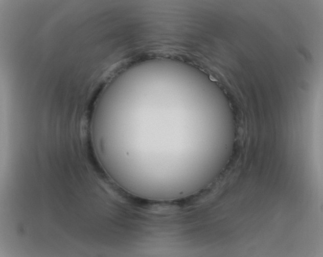 X0000115650708200911101116