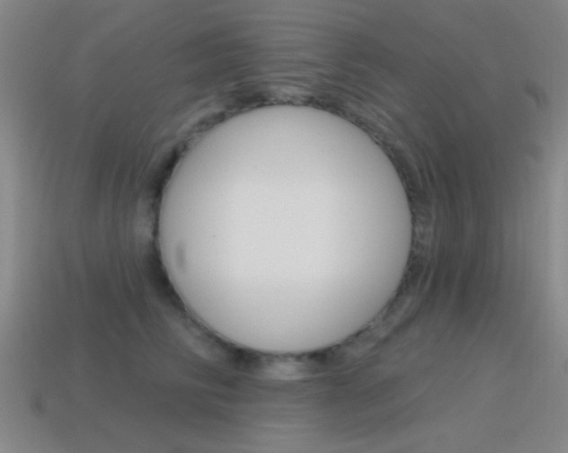 X0000115650710200911101116