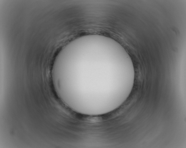 X0000115650711200911101116